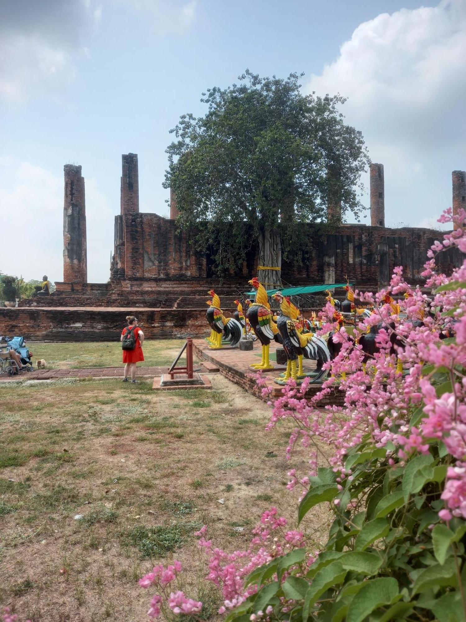Plus Hostel Ayutthaya מראה חיצוני תמונה